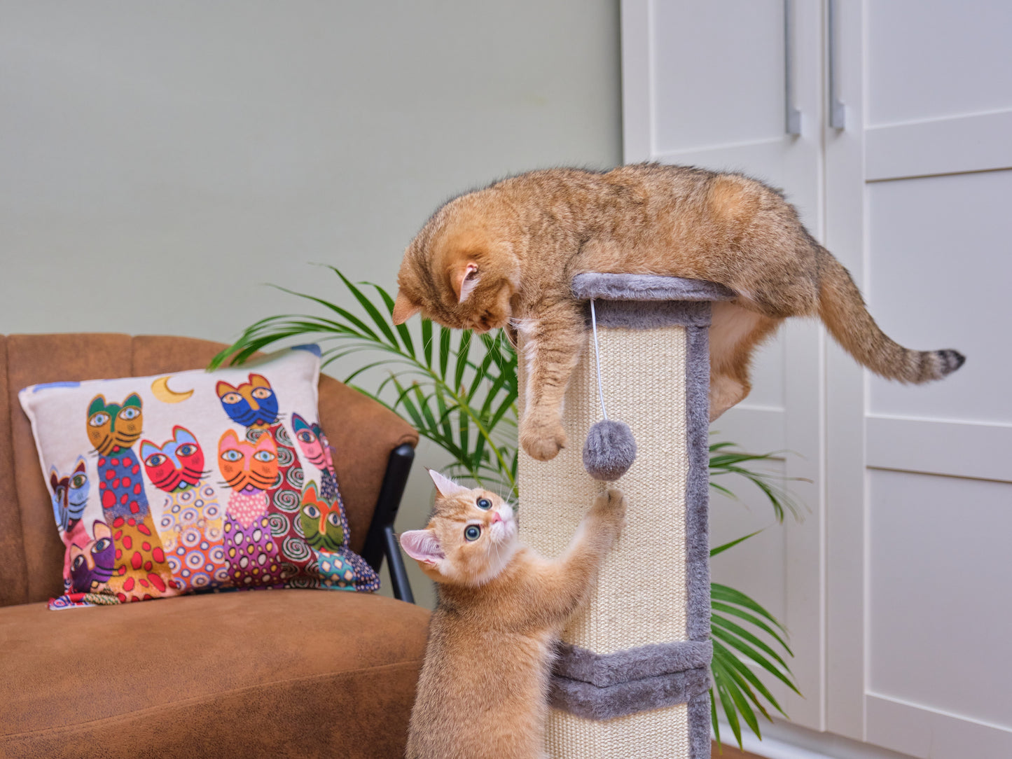 Climb & Scratch - Cat Scratching Post With Hanging Ball