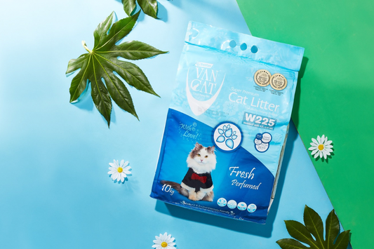 Fresh scented litter on blue and green paper backdrop
