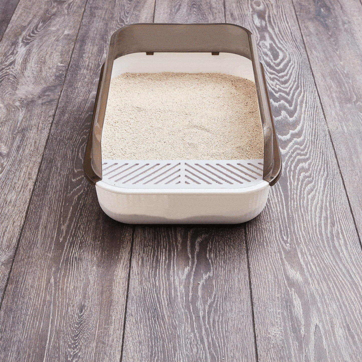 Stainless Steel Litter Scoop – VanCatUK