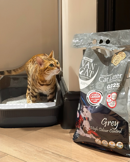 Cat sitting in the high sided litter tray next to a bag of Van Cat cat litter on a wooden floor.