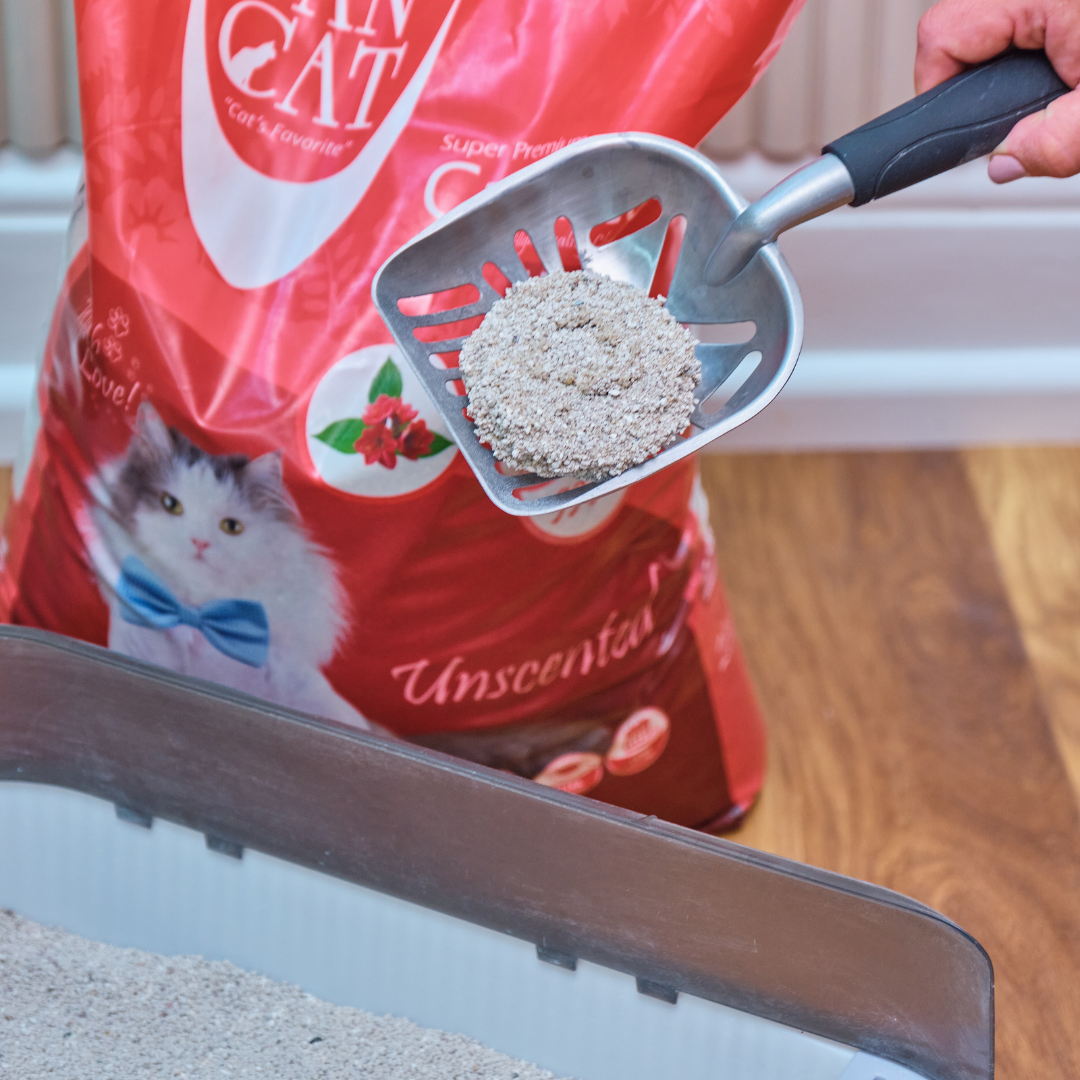 a scooped clump of our unscented litter
