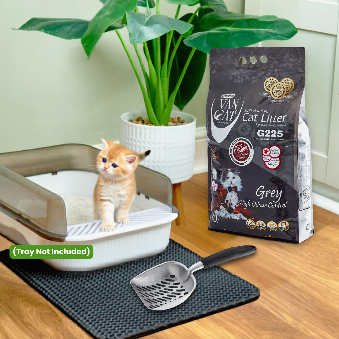 Cat litter tray with a kitten, scoop, and bag of cat litter on a wooden surface.