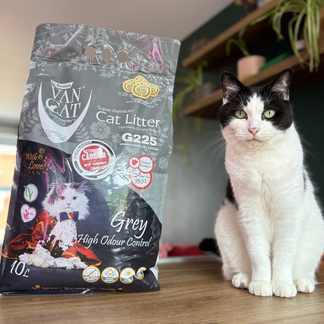 Cat sitting next to a bag of VanCatUK odour-locking cat litter on a wooden surface.