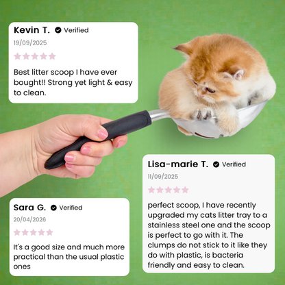Hand holding a litter scoop with a kitten sat inside, surrounded by positive reviews for the scoop on a green background
