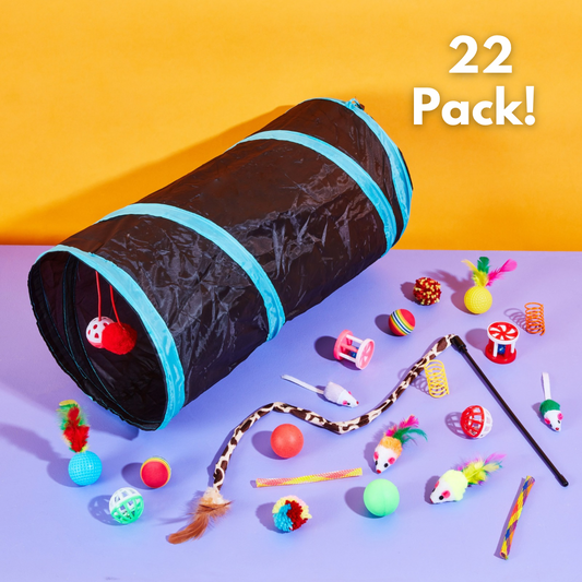 Whisker Wonder Toy Bundle