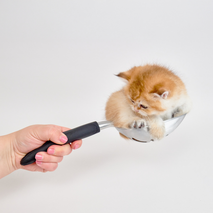 Litter Clump Removal Scoop