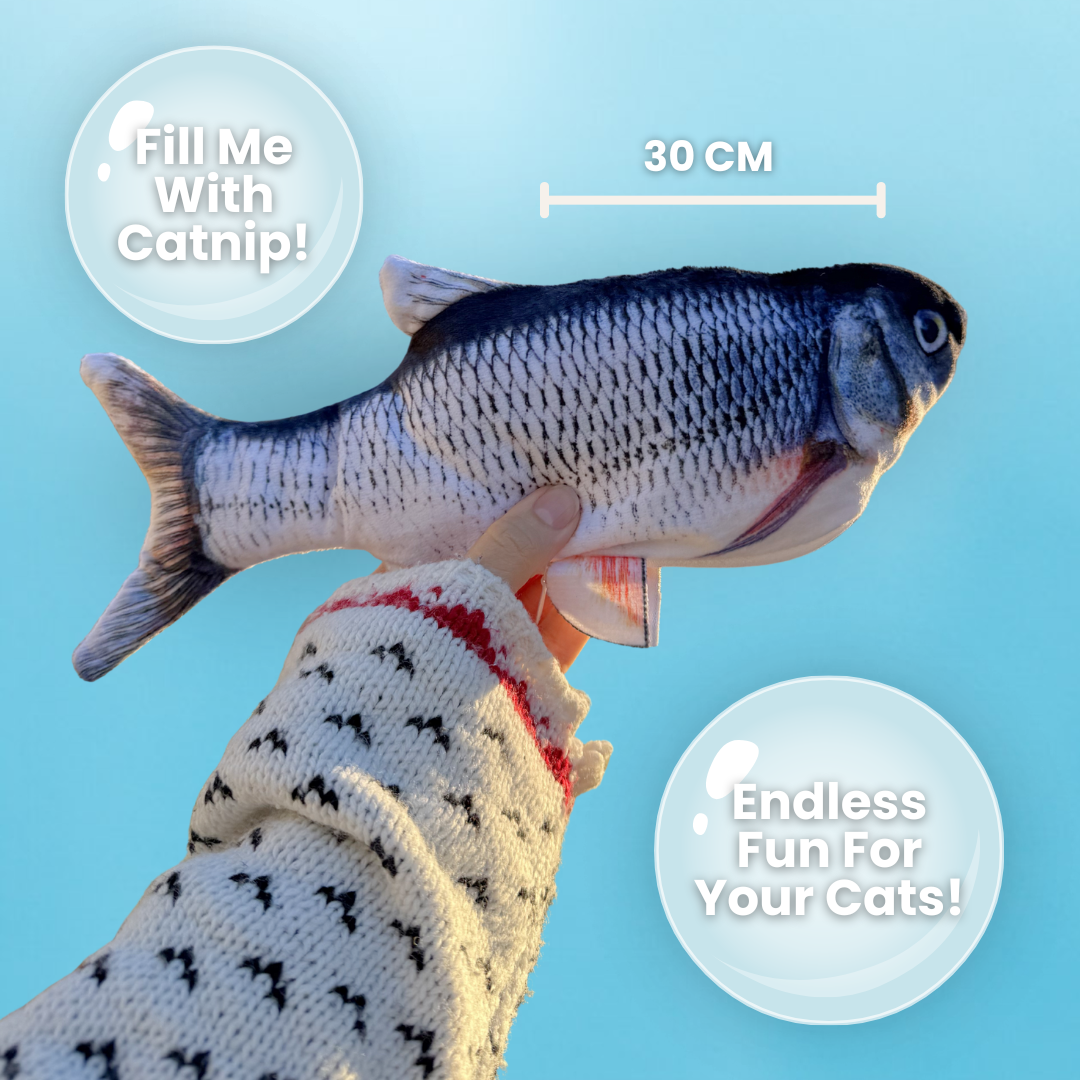 Interactive Fish Toy – VanCatUK