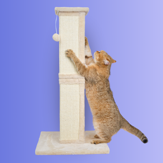 Climb & Scratch - Cat Scratching Post With Hanging Ball