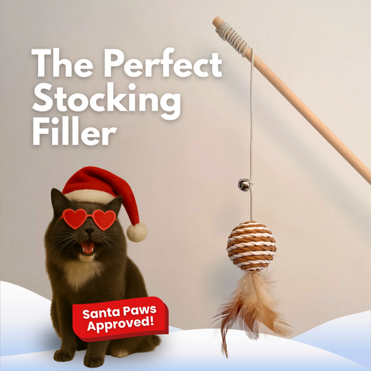 Feather & Sisal Cat Teaser Wand